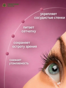 Таёжная черника
